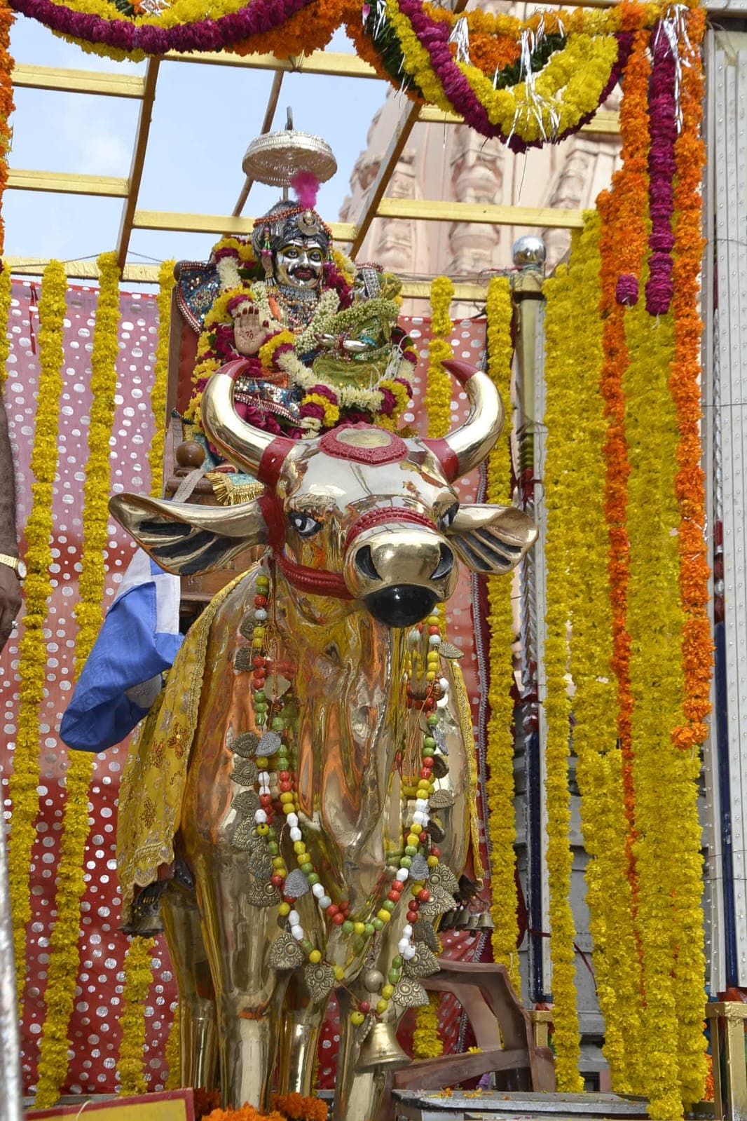 Panchamrit abhishek being poured over a Shiva Linga